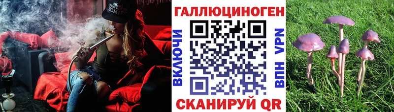 Псилоцибиновые грибы мухоморы  Купить закладки  Звенигово 